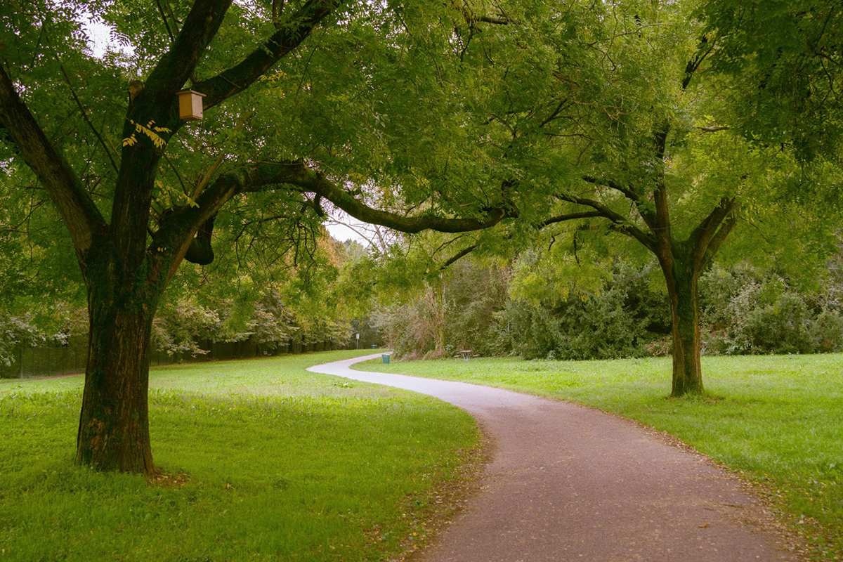 Evans Creek Preserve